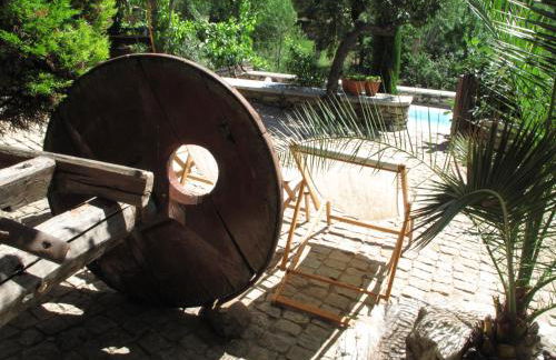 A Lagosta Perdida - Foto 10