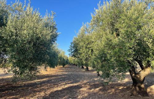 Borgo Bortolone - Foto 16