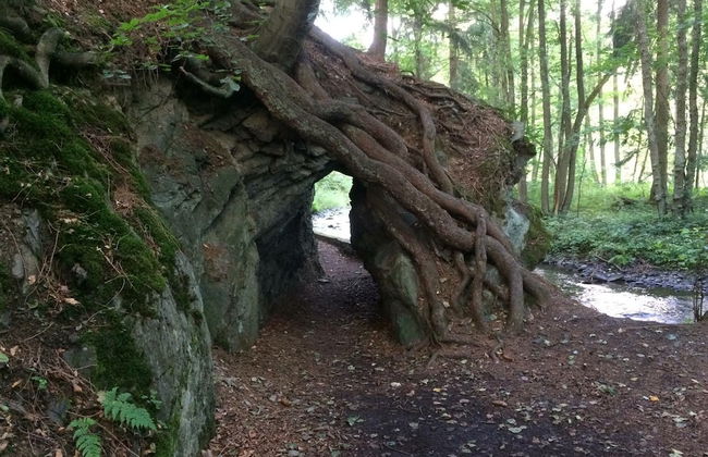 Living in the old Granary - Foto 26