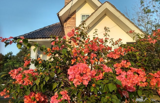 Tehel Farmhouse - Foto 35