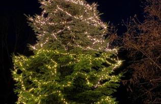 Apartaments Alta Muntanya - Foto 75