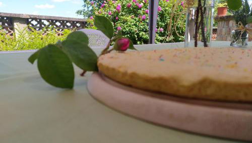 La casa nel Monferrato "LA CONTENTËSSA" - Photo 4