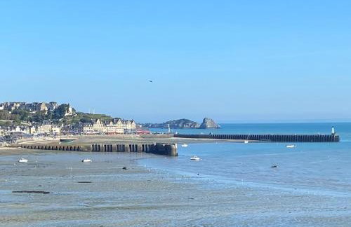 Cancale, vue mer, accès direct sur la baie du Mont-Saint-Michel - Photo 36