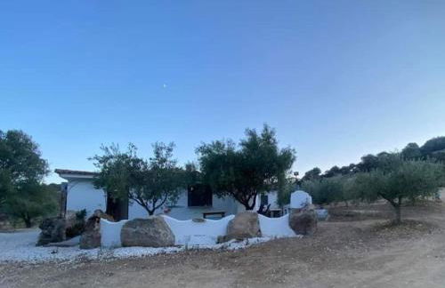 Domo Galàna - Foto 3