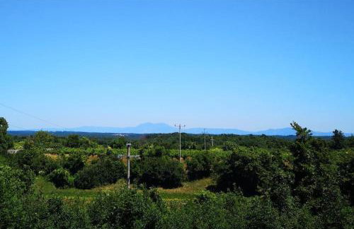 Apartman Luna - Foto 29