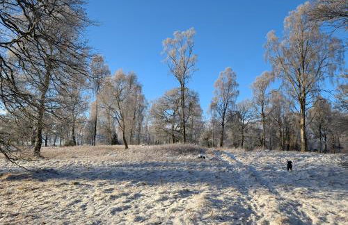 The Cairn at North Lodge, Rural Guest Suite - Foto 45