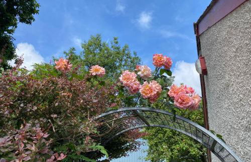Newfoundland Cottage - Photo 34