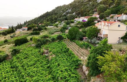 Apartman Dani - Foto 7