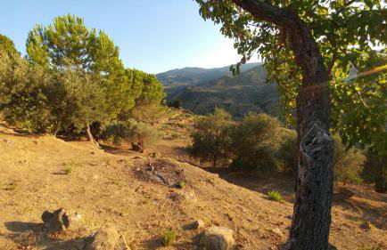 Casa Migliaca - Foto 28