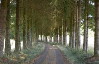 Le hameau de Donnedevie - Foto 30