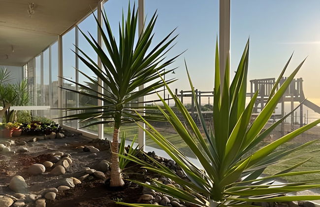 Oceana Suites Costa Montemar - Foto 32