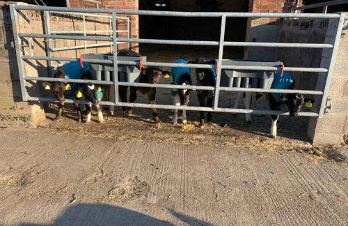 Newton Hall Farm cottage, hot tub garden views Nr Lytham Ribby - Foto 37