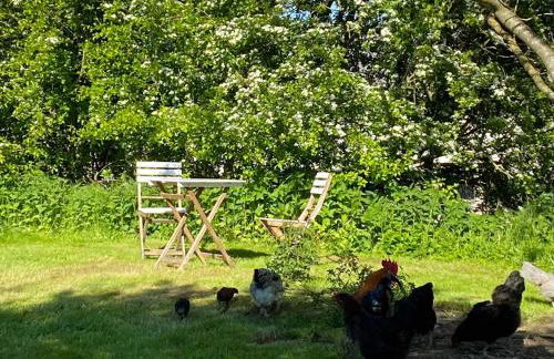 Gutshaus Kranichflug - Foto 19