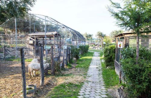 Agriturismo Fassi - Foto 53