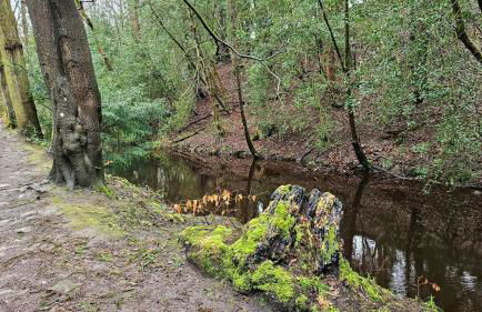 Folly View - Private, peaceful apartment with stunning views. - Foto 65