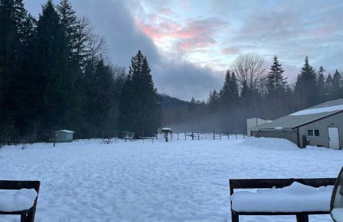 Packwood Getaway with Game Room, Grill and Patio - Photo 27