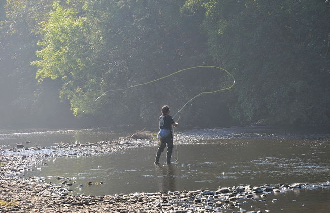 Holiday Home in Vielsalm With Lake View - Foto 56