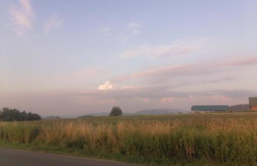 Olberówka - Foto 24