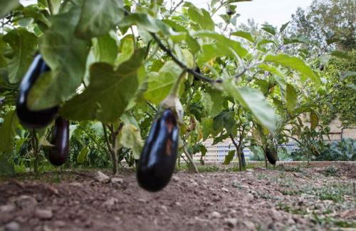 Casa Rural Espasa - Foto 20