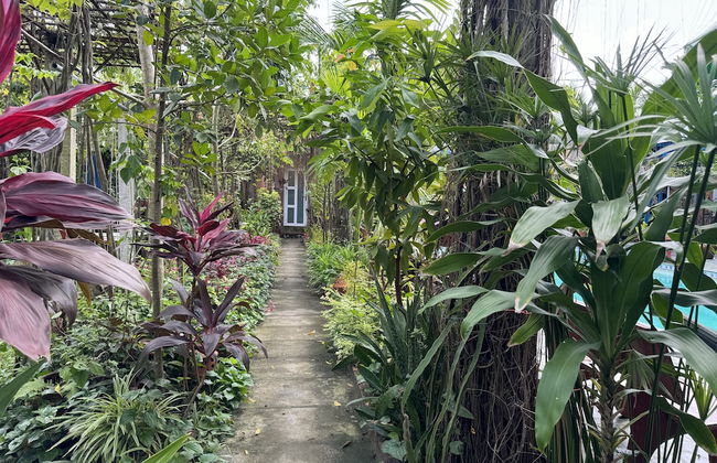 Bau Bi Mini Farmstay Mekong - Tien Giang - Foto 58