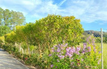 My Corfu Luxury Villa with private pool - Foto 73