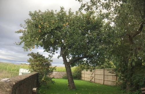 ryton grange hay barn sleeps 6 - Foto 22