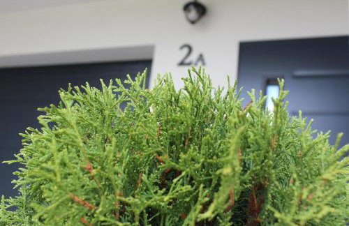 Apartamenty Świstak Maciej Dunajczan - Foto 47