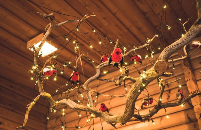 Ukonjärven Holiday Village - Foto 20