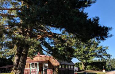 Chalets des Trois Hêtres - Foto 39