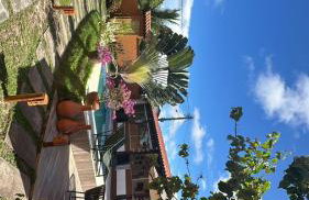 Experiência surreal em Àguas de Olivença, Ilhéus BA - Photo 34