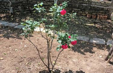 Captains' house - Photo 47