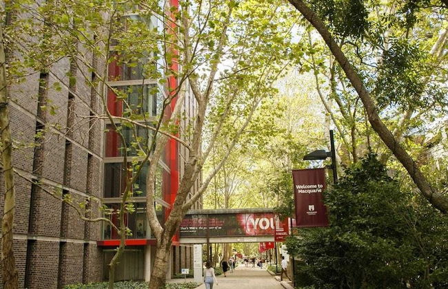 Seranin Gordon - Foto 60