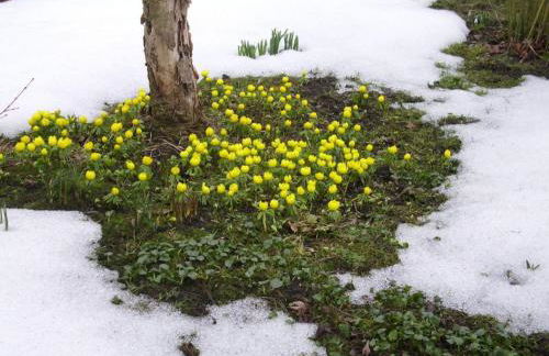 Apartment at the Knappensee in Gross Sarchen - Foto 51