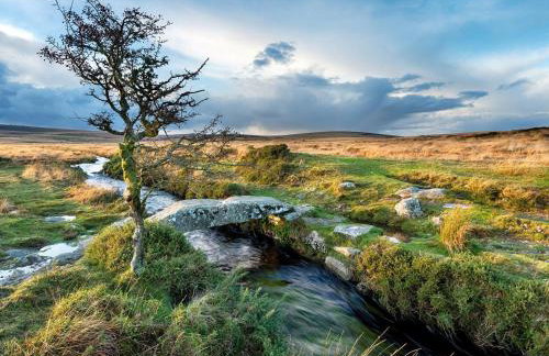 2 Bed in Callington oc-tyler - Foto 28