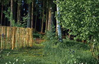 Blickinsfreie - Photo 52