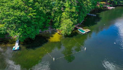 Falling Pines - Foto 5