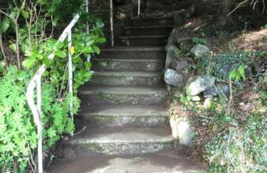 Unique Orchard Lodge for couples with hot tub - Photo 52