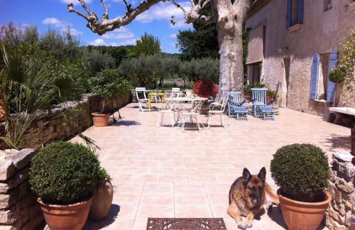 Chateau Juliette Winery Homestead Provence - Foto 19