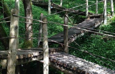 Rio Moment's - Foto 65