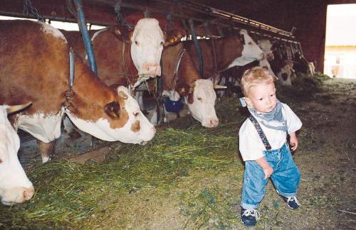 Wofahanslhof - Foto 4