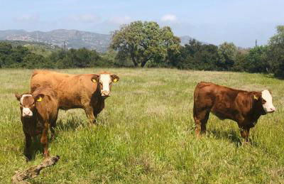 Agriturismo La Rocca Manna - Foto 68