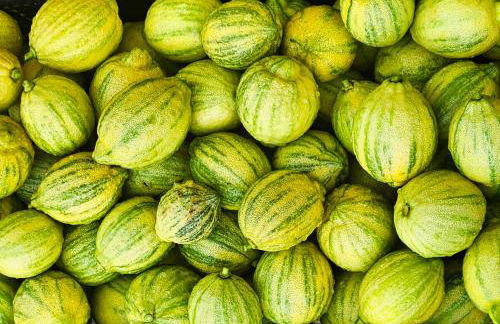 Agriturismo La Marginella - Photo 65