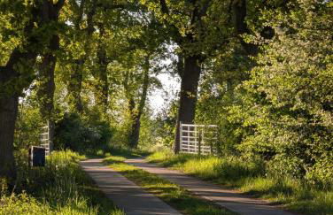 Traumkrone Ferienwohnungen - Wiesengrün - Foto 33