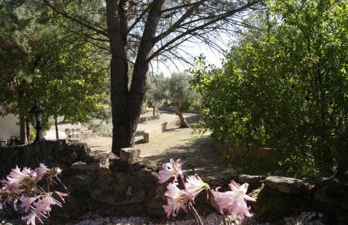 Casa do Vale - Foto 15