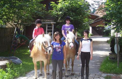 Ferienhof Guglhupf - Foto 46