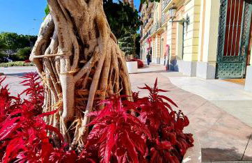 Spacious apartment with pool in the heart of Murcia - 128 m² - Foto 26