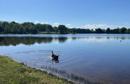 The Place to Be - Foto 29