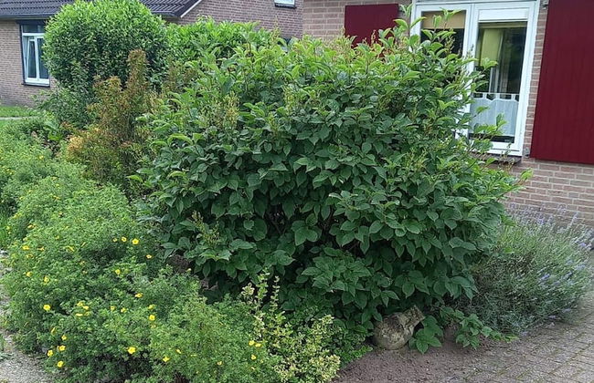 Lush Bungalow in Beek Gem Montferl& with Hot Tub - Photo 34