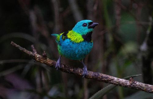 Casa do Carlos, praia da Enseada Ubatuba-SP - Foto 26