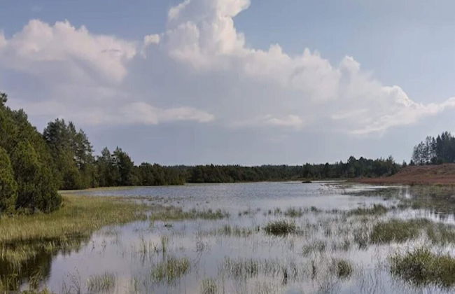 4 Star Holiday Home in Brande - Foto 49